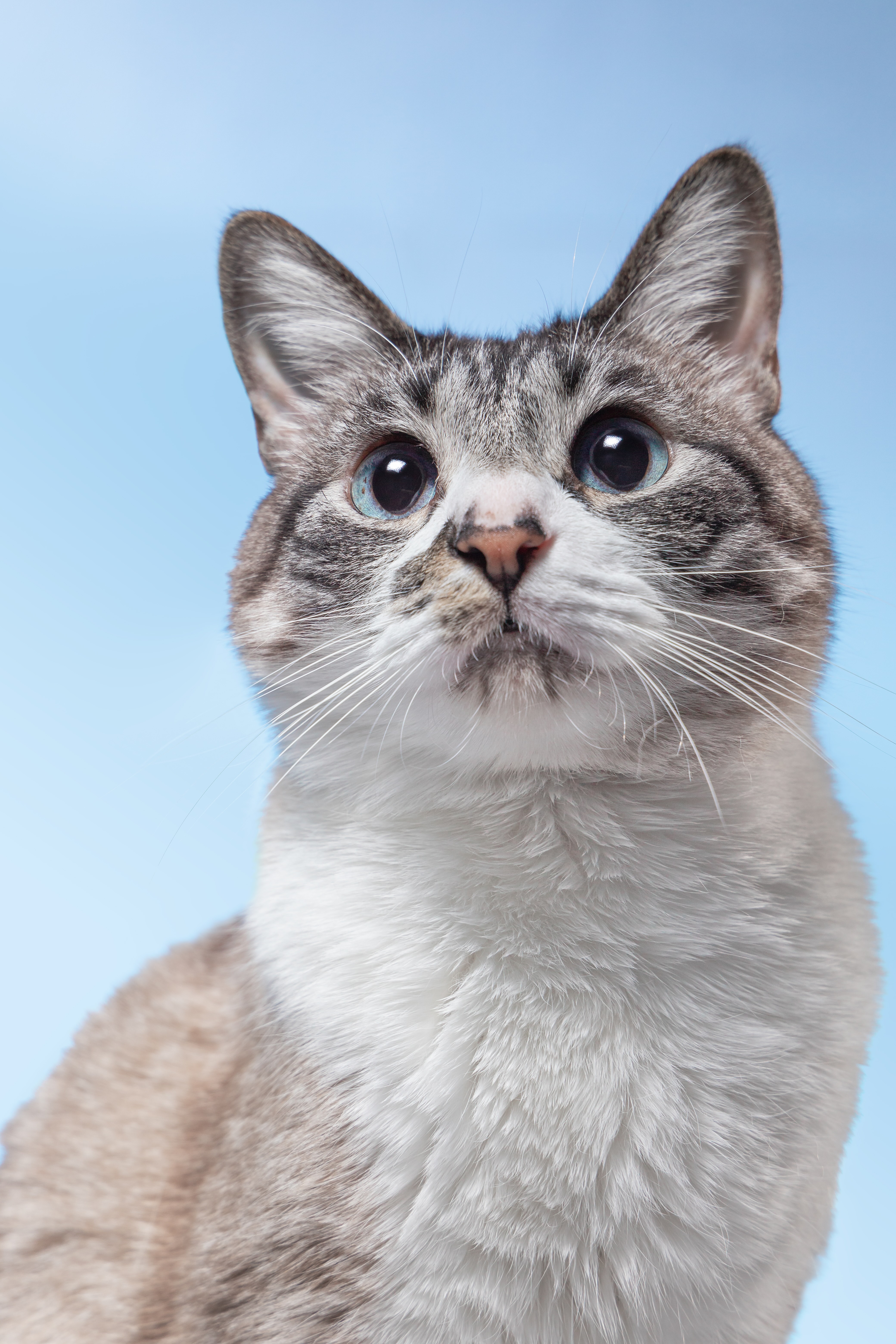 Kuriboh & Kevin - Fotografía profesional